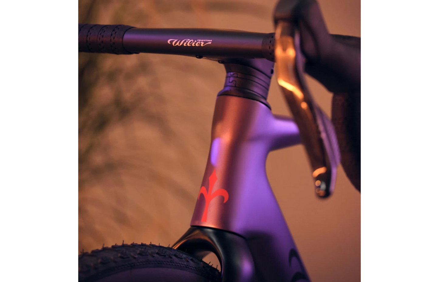 Rave SLR Ultegra Di2