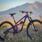 Rascal 29er Mountain Bike XTR build