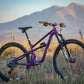 Rascal 29er Mountain Bike SLX build