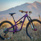 Rascal 29er Mountain Bike XT build